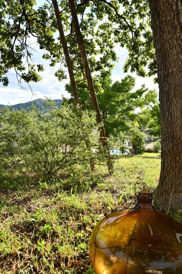 Agriturismo Dai Mori Isola del Piano ภายนอก รูปภาพ