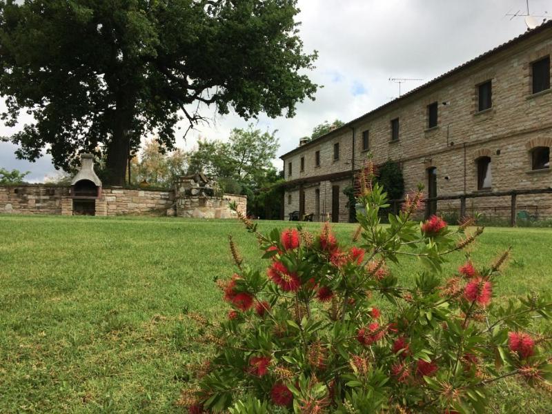Agriturismo Dai Mori Isola del Piano ภายนอก รูปภาพ